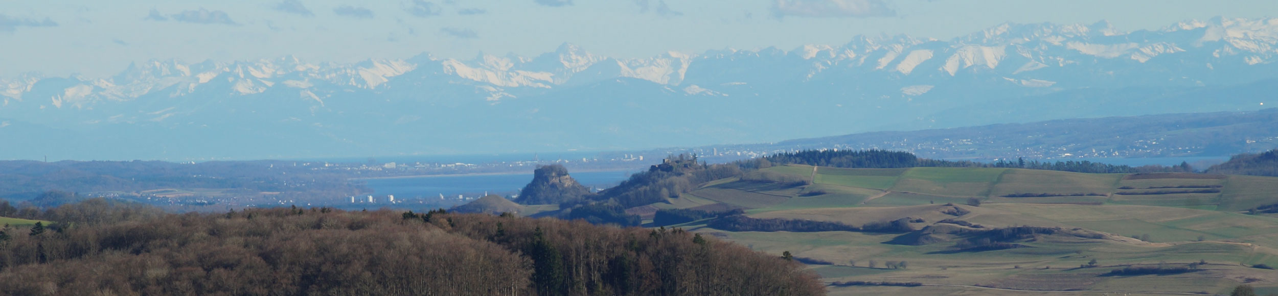 Kontaktdaten des Betreuungsverein Bodensee/Hegau e.V.